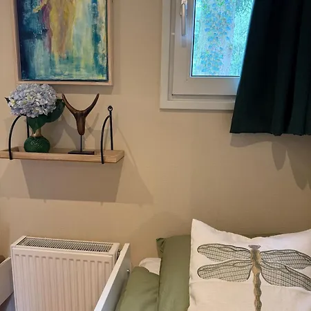 Boshuisje Rijk Op De Veluwe Apartman Epe