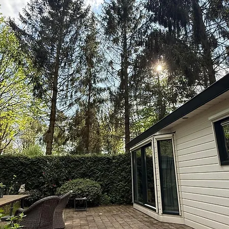 Boshuisje Rijk Op De Veluwe Epe