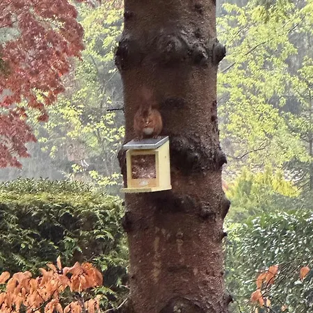 Boshuisje Rijk Op De Veluwe Apartman