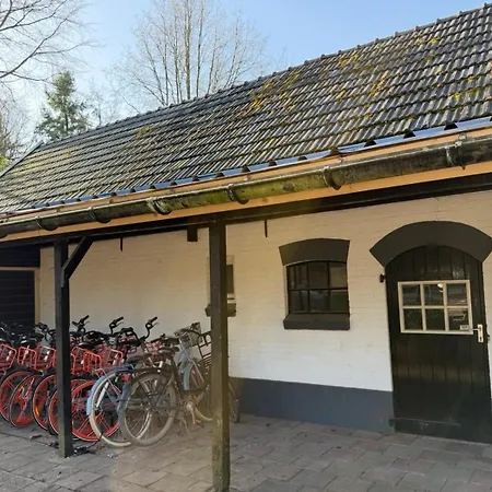 Boshuisje Rijk Op De Veluwe