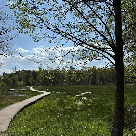 Boshuisje Rijk Op De Veluwe Apartman