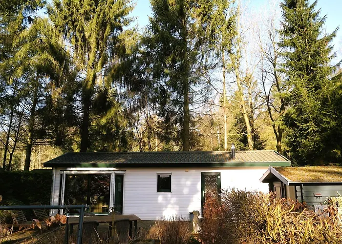 Appartement Boshuisje Rijk Op De Veluwe