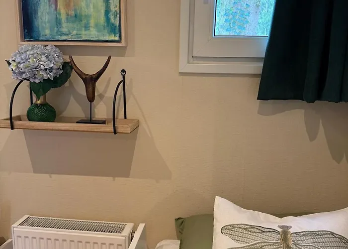 Boshuisje Rijk Op De Veluwe Appartement Epe