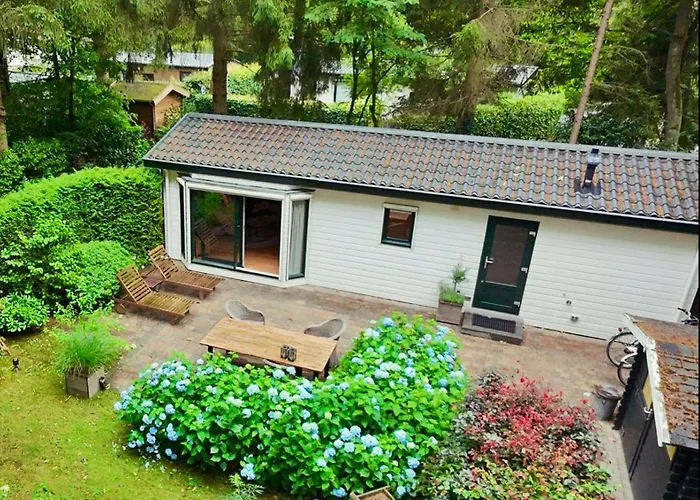 Appartement Boshuisje Rijk Op De Veluwe