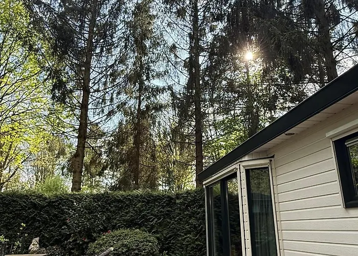 Boshuisje Rijk Op De Veluwe Epe