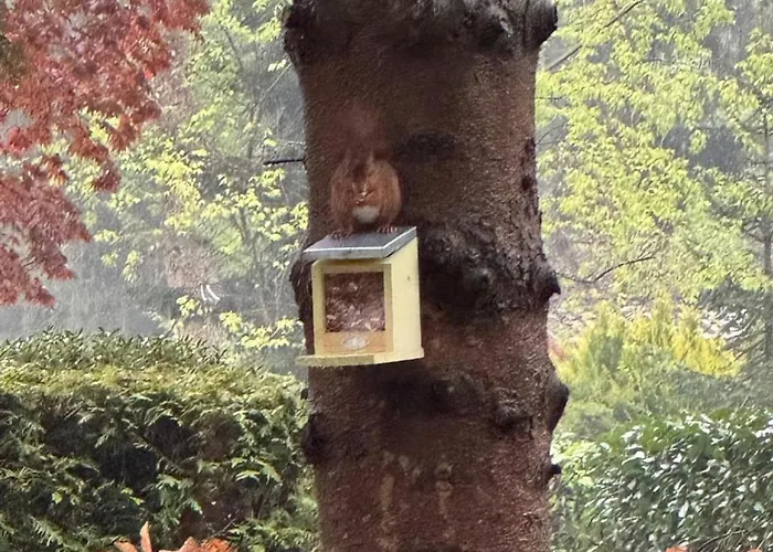 Boshuisje Rijk Op De Veluwe Appartement