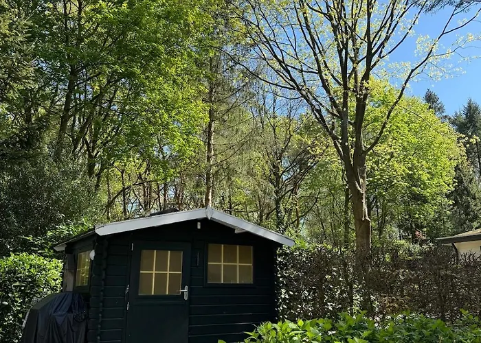 Appartement Boshuisje Rijk Op De Veluwe *