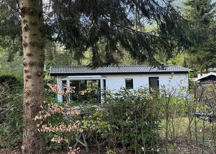 Boshuisje Rijk Op De Veluwe *