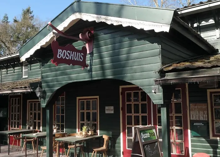 Boshuisje Rijk Op De Veluwe * Epe