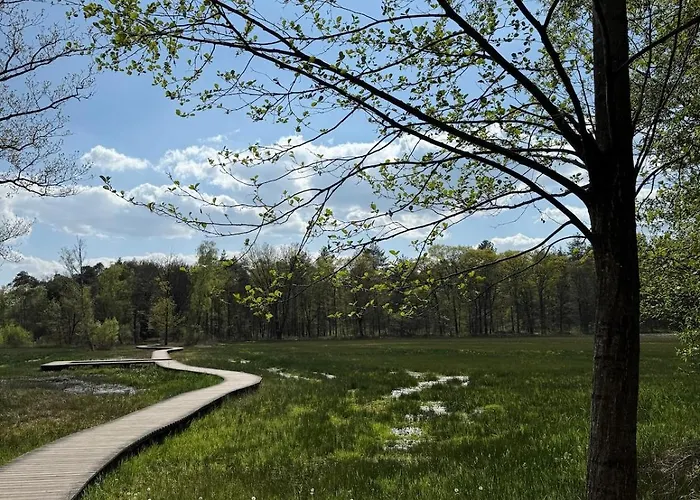 Boshuisje Rijk Op De Veluwe Appartement