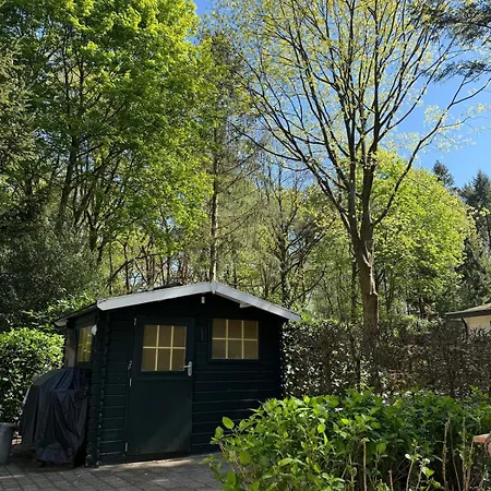 Daire Boshuisje Rijk Op De Veluwe *